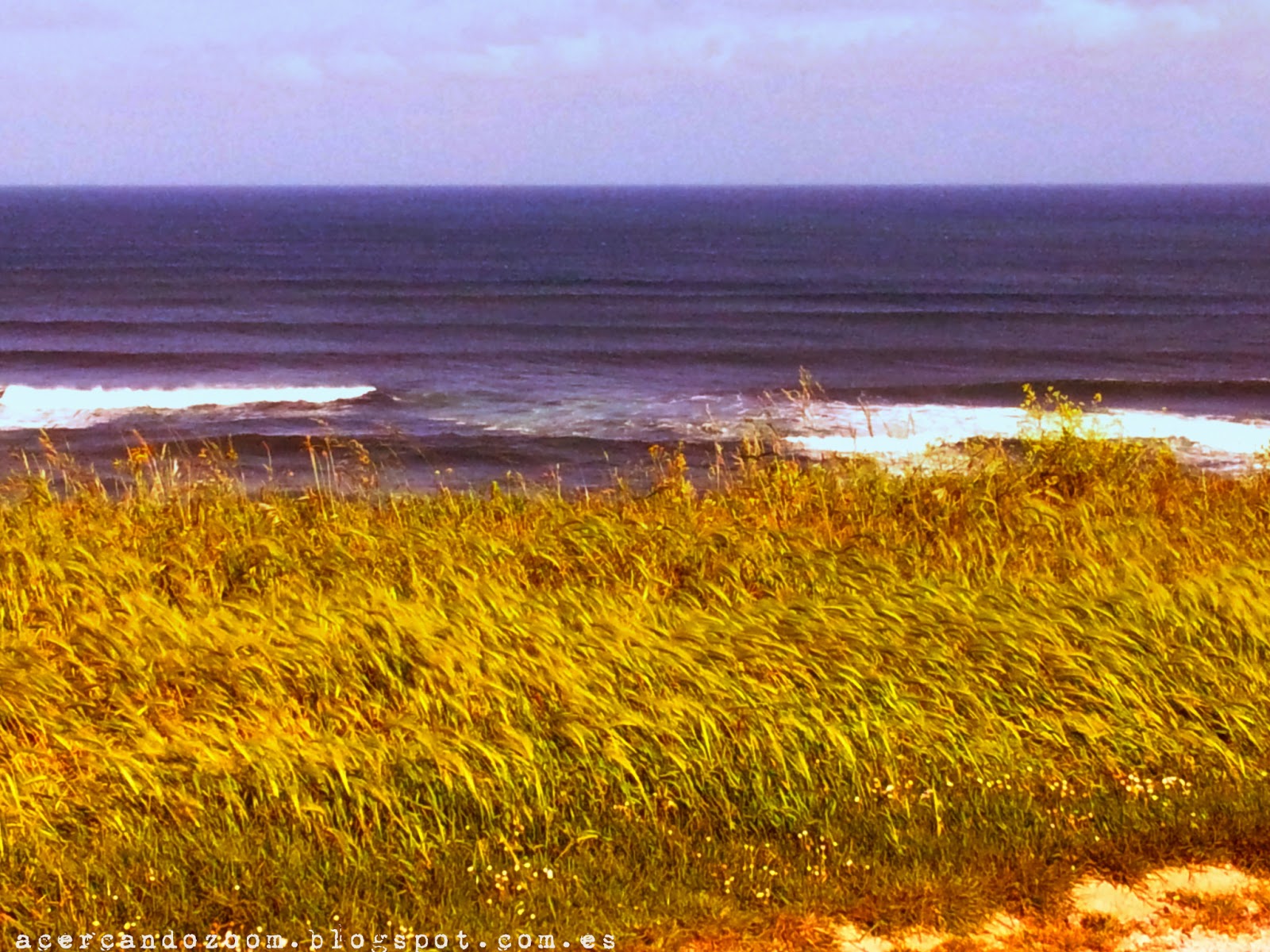 Acercando Zoom Aire fresco.