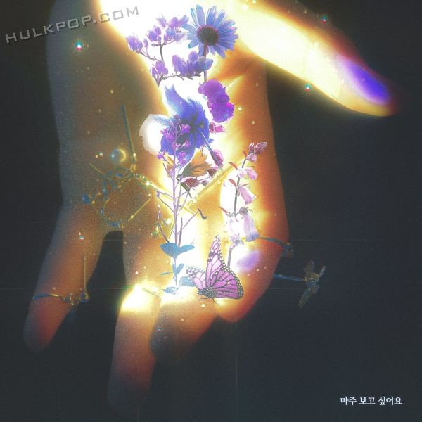 12DAL – Blind – Single