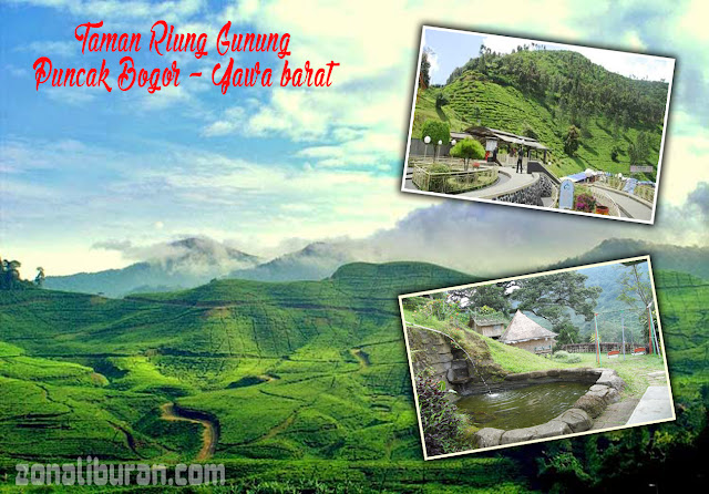 TAMAN RIUNG GUNUNG PUNCAK BOGOR ~ Indonesia itu Indah