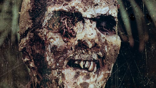 Nueva York bajo el terror de los zombies 1979 online castellano descargar
