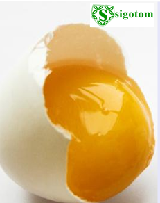 Bahaya yang di timbulkan jika makan telur mentah