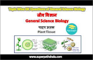 जीव विज्ञान: पादप ऊतक GK Questions Set 1 जीव विज्ञान: पादप ऊतक GK Questions Set 1