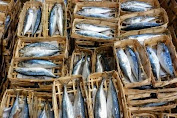 Diduga Ikan Import Mengatas Namakan Ikan pindang, Untuk Dapatkan Kuota Import