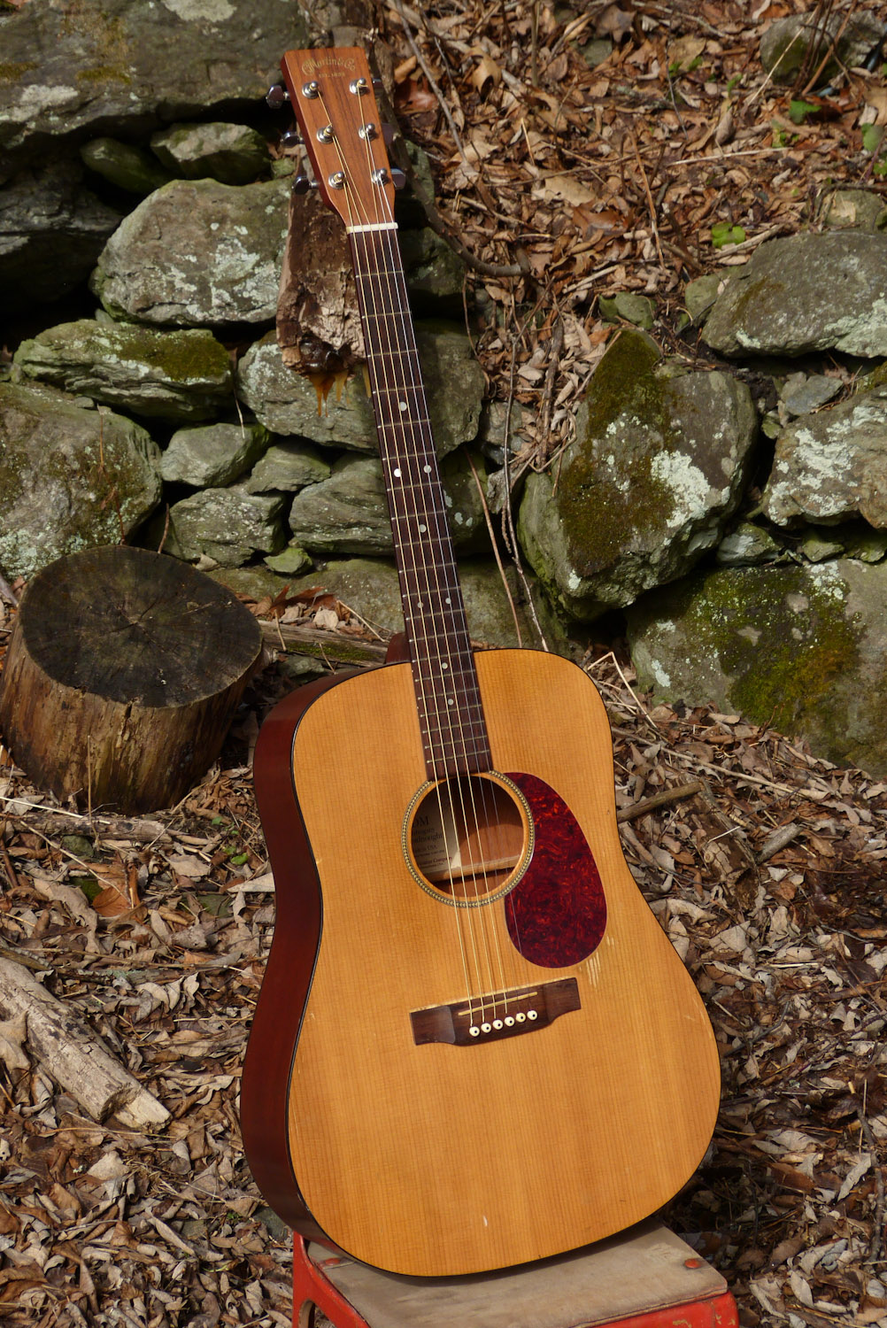 1999 Martin DM Dreadnought Guitar