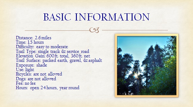 Blog Mangotours Com 3 National Parks In California You Must See