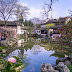 蘇州園林│中國四大名園-留園 徜徉在私藏的盛世美景裡