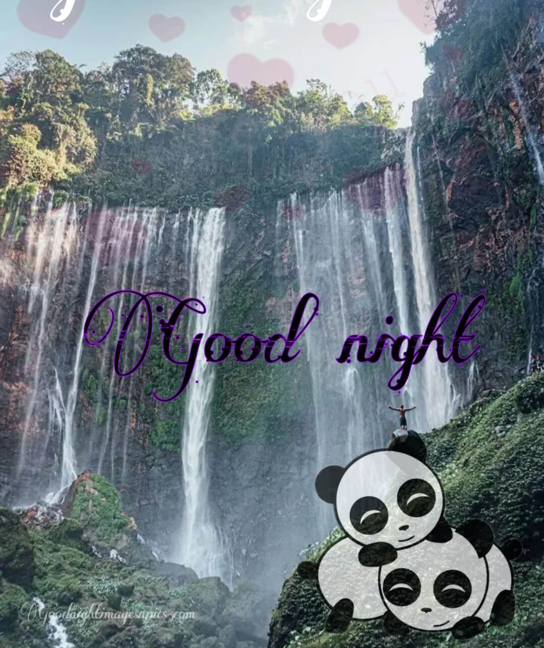 Cute Good Night Image For Whatsapp Cute Good Night Image For Whatspp