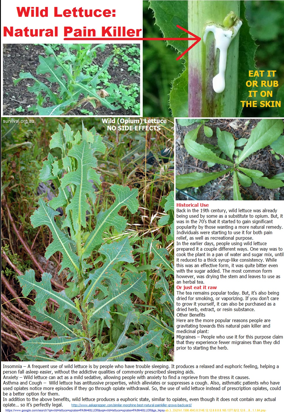 News Man Keep your Gallbladder by doing a Gallbladder Cleanse...