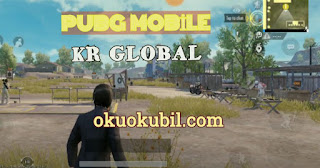 Pubg Mobile 0.19.0 KR Global ESP, Root Yok Hileli Apk Eylül 2020 Sezon 14