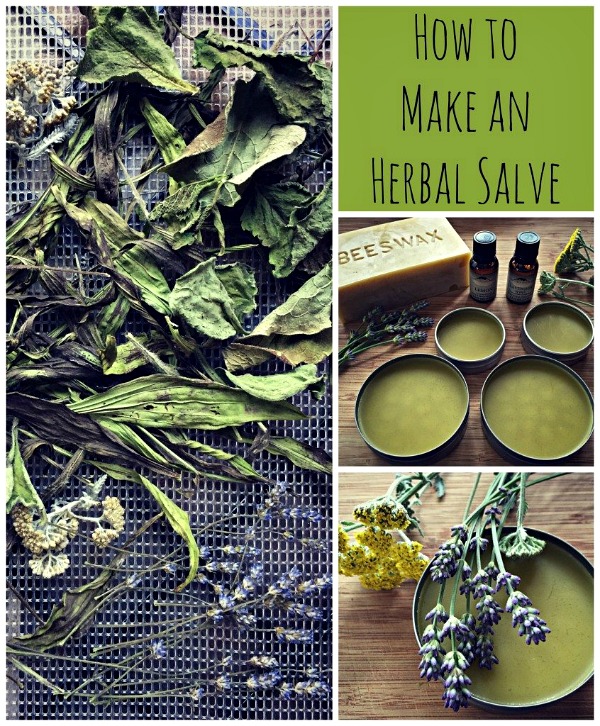 Mountains 23 How To Use Fresh Herbs