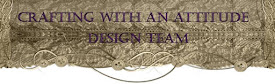 Past Design Team Member