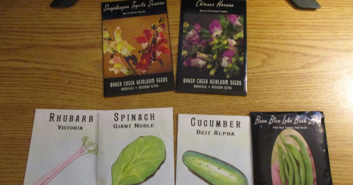 Missy's Product Reviews Baker Creek Seeds Review & Giveaway Ends 5/25