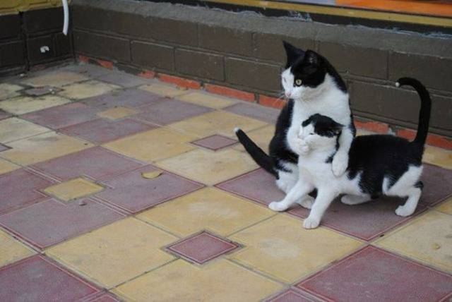 Picdump-Rite-Mail-031.jpg