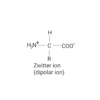 Dipolar ion