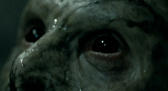 http://www.imdb.com/title/tt1146320/?ref_=nv_sr_1