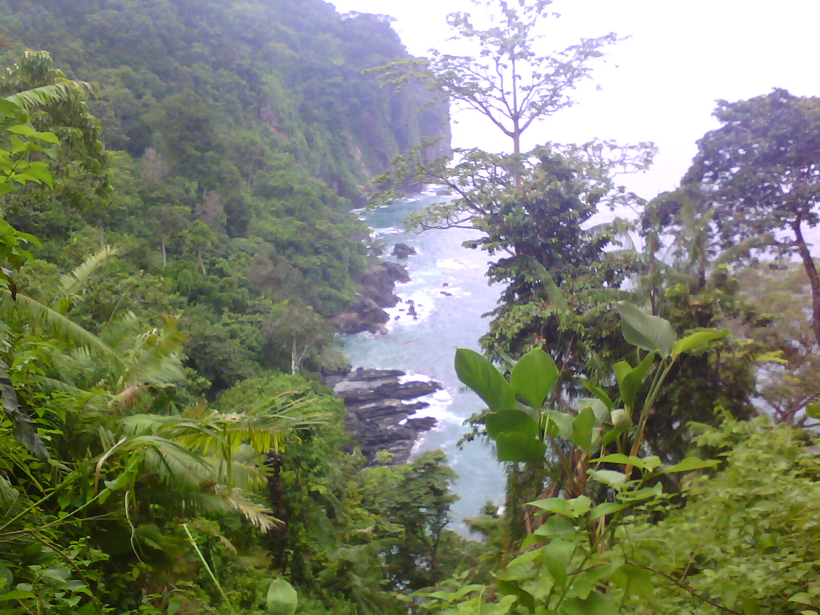 Tourist attractions: Natural Beauty of Meru Betiri National Park