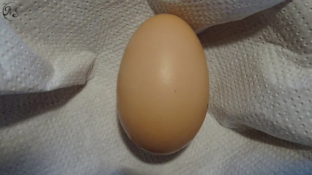 Nagyon nagy tojás
