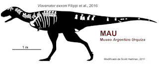 Paleosur: A new theropod dinosaur from Patagonia