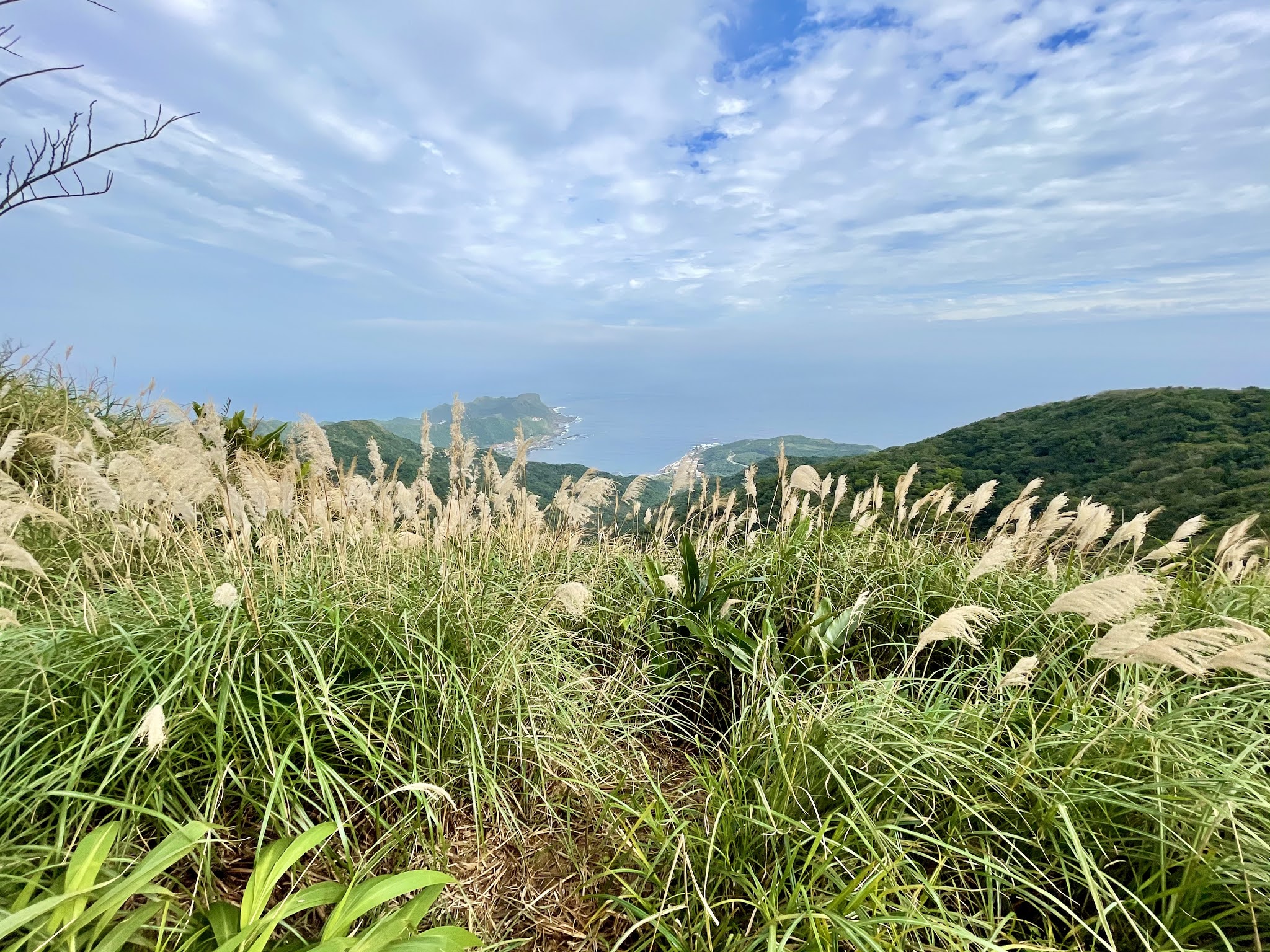 和美山