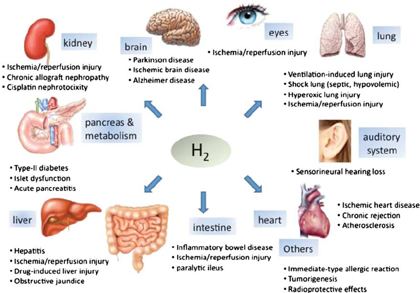 India. Molecular hydrogen therapy (HHO / H2) by inhalation for clinical
