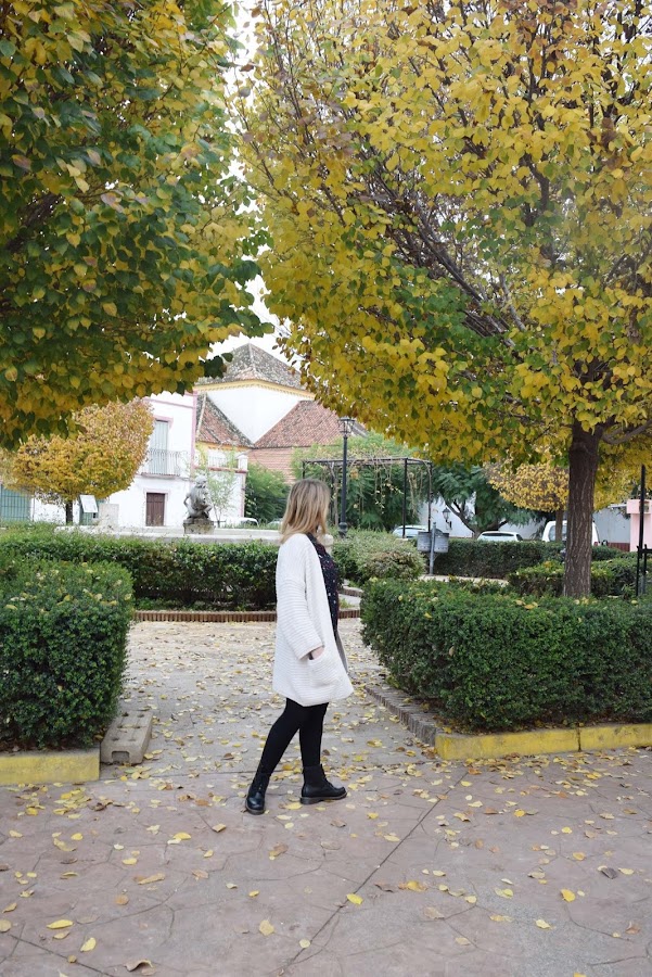 Mis_nuevas_botas_militares