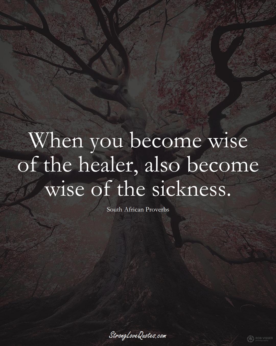 When you become wise of the healer, also become wise of the sickness. (South African Sayings);  #AfricanSayings