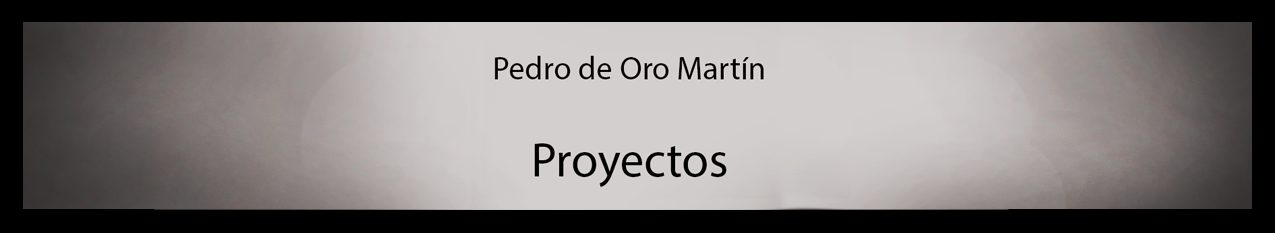 Pedro de Oro Martín. Proyectos