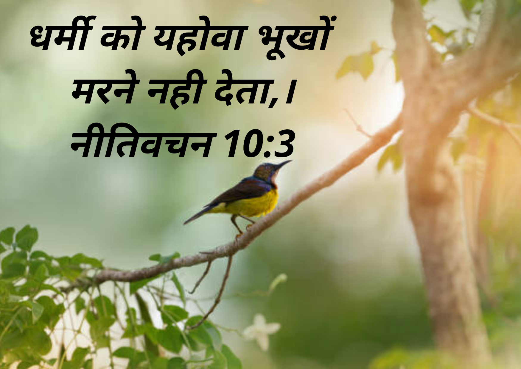 Bible verses in Hindi images, quotes, Inspirational words, Bible verses in Hindi images, quotes, Inspirational words,