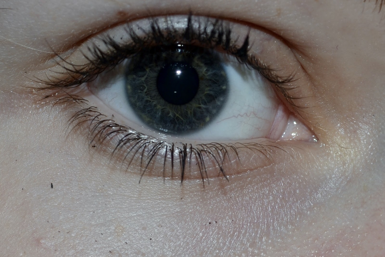 Verstand Emotion Und Korper Oktober 2015