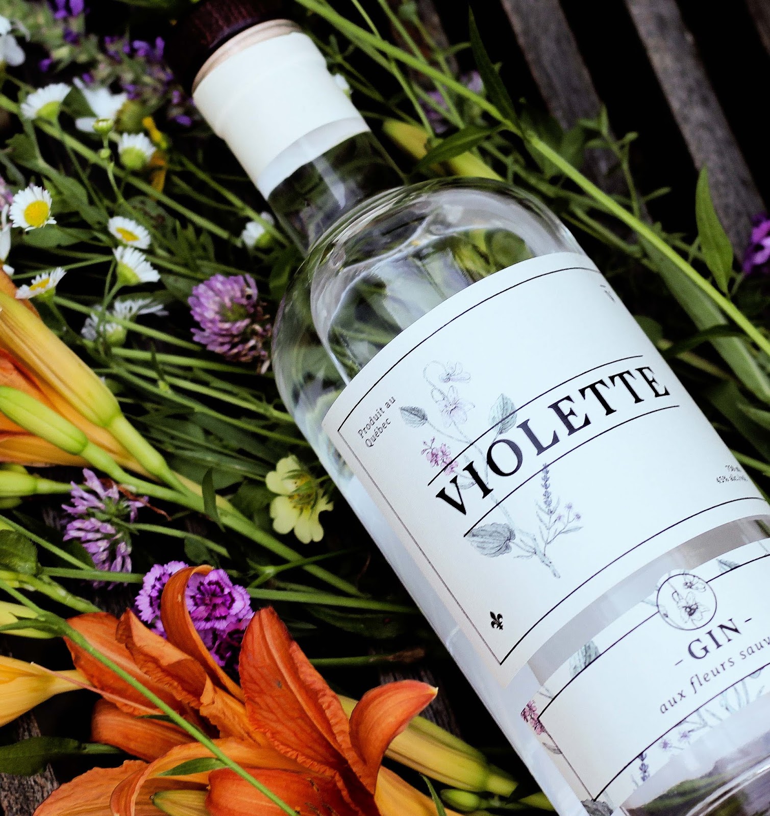 Le gin québécois Violette, le pouvoir des fleurs