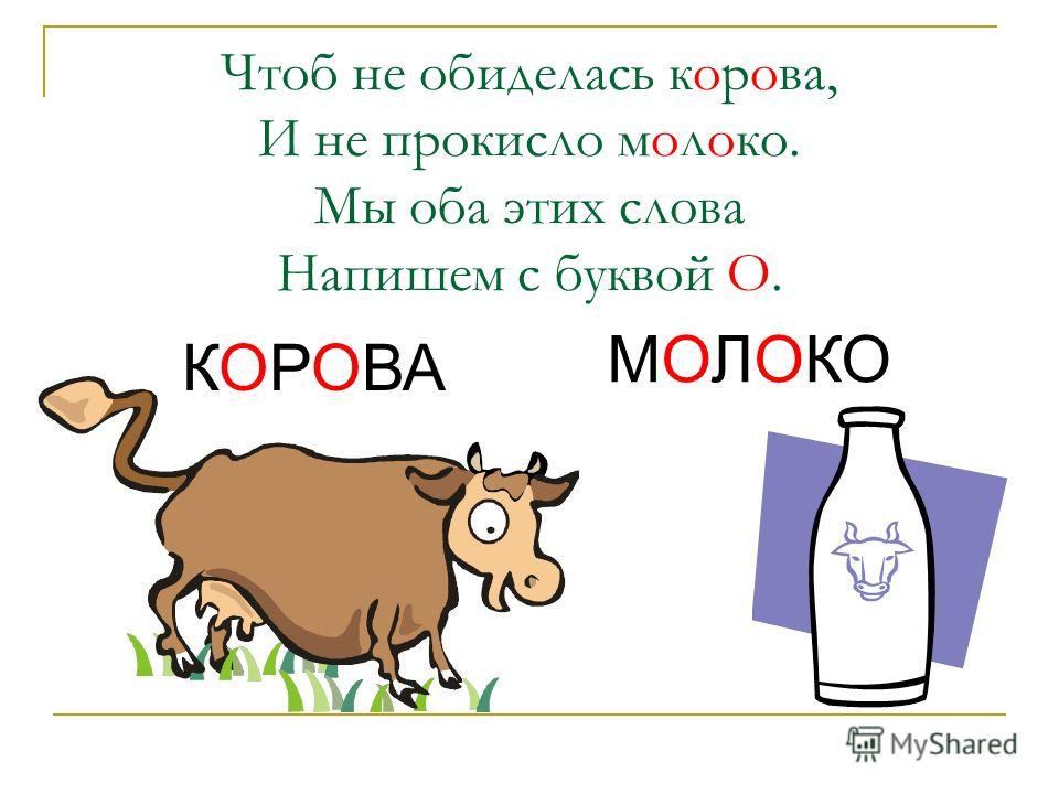 словарарное слово корова. почему пишется молоко. слова к слову молоко. информация про молоко. чем полезно молоко.