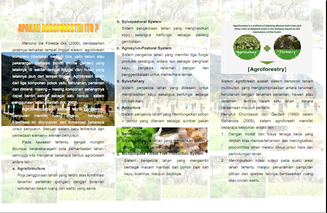 Leaflet Agroforestri penyuluh pertanian Sumenep nur fadhilah