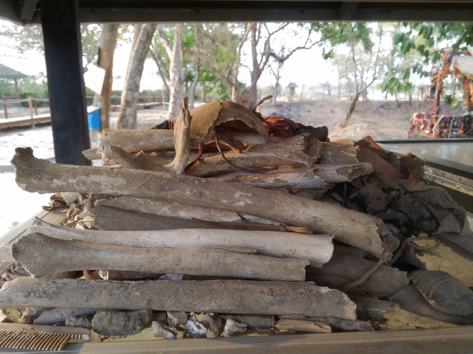 Поля смерти камбоджа Поля смерти камбоджа