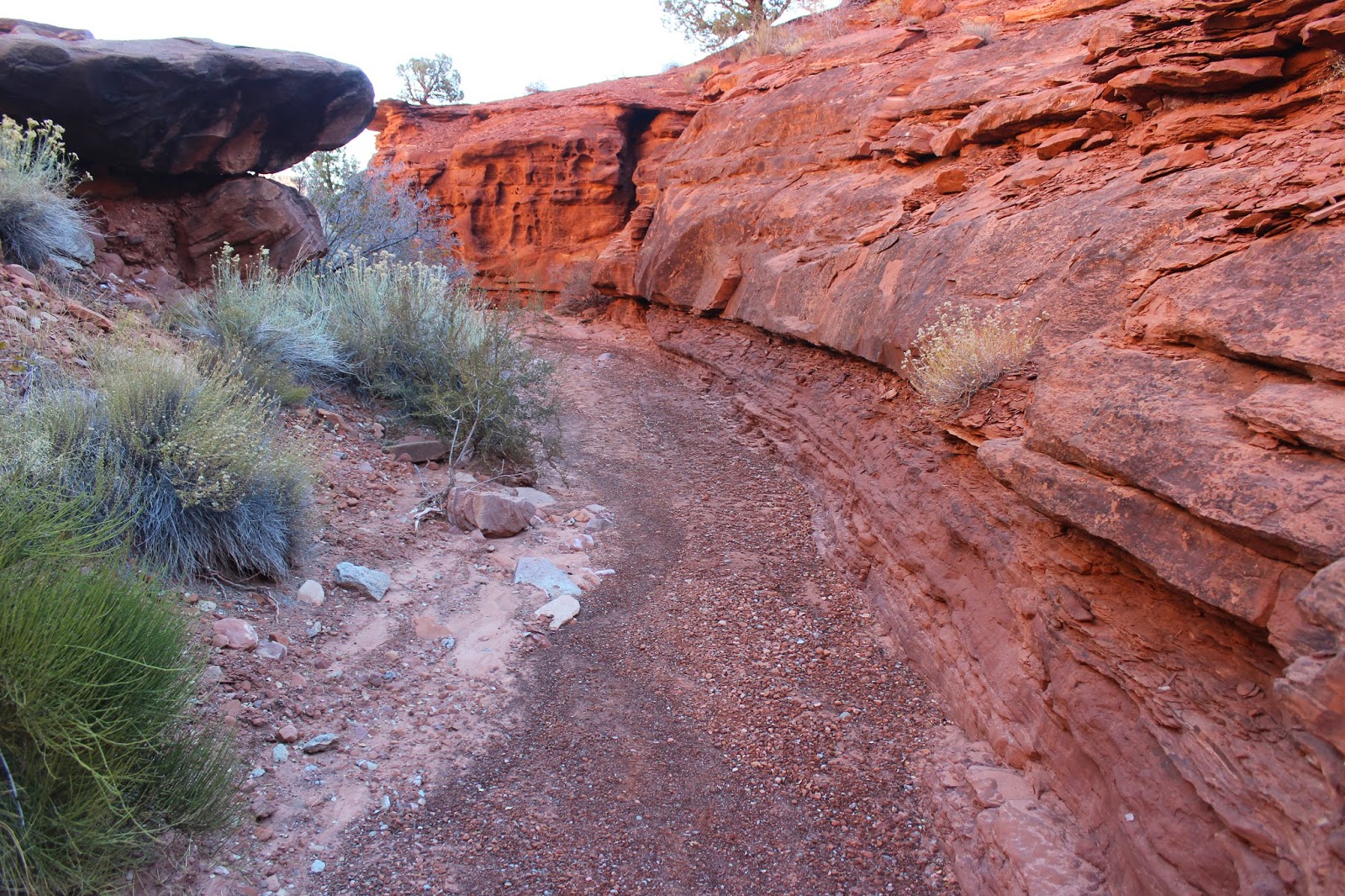 gooseberry mountain bike trail