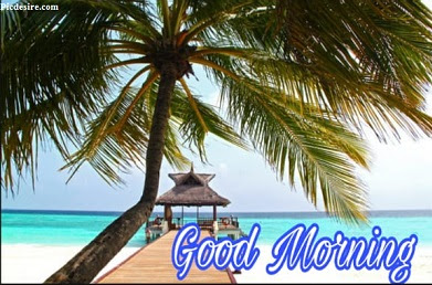 These Best 99+ Good Morning Images will make your day These Best 99+ Good Morning Images will make your day