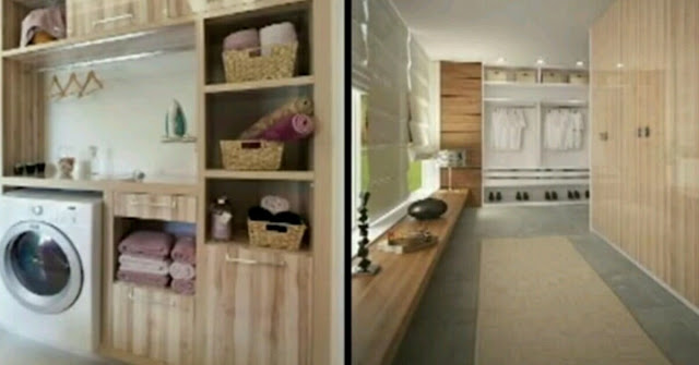 Procure forests for kitchen cupboards wood