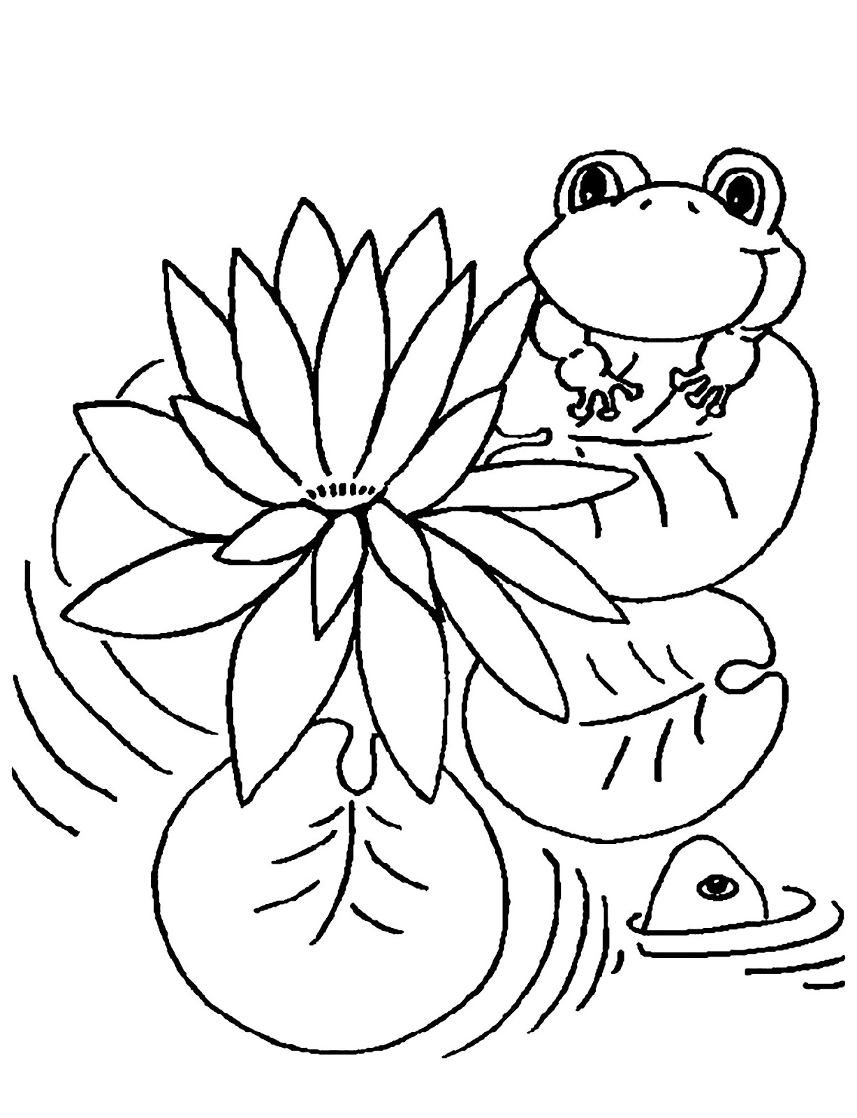 Tranh tô màu chú ếch ngắm hoa
