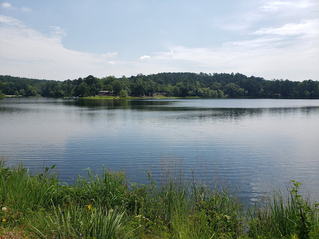 Tyler State Park @ 1gr8vacation.com tyler state park waterfall, tyler state park map, tyler state park trail map, tyler state park fishing, tyler state park trails, tyler state park cabins, things to do tyler state park, tyler state park rentals, camper, rv, state park