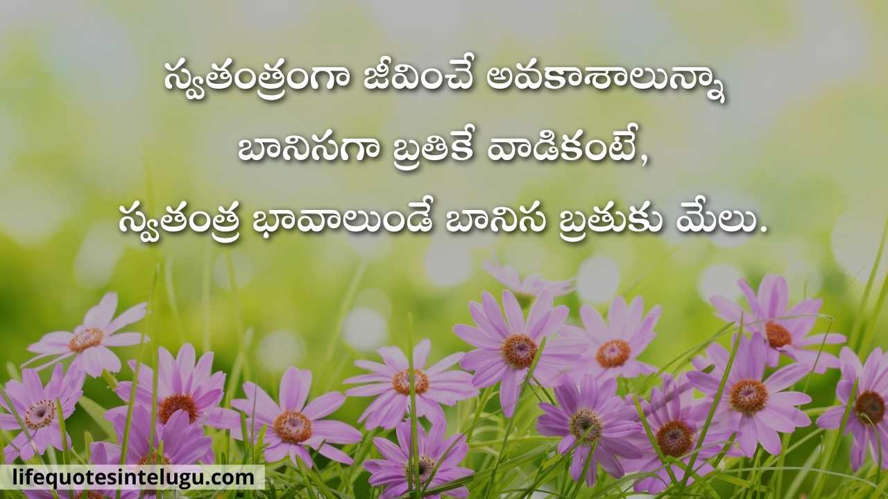 Motivational Quotes In Telugu