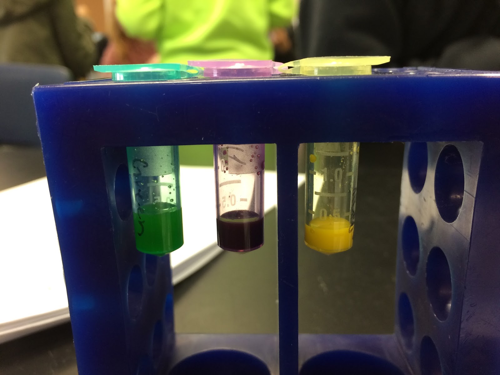 Nakul Nagaraj Biology Blog Candy Electrophoresis Lab