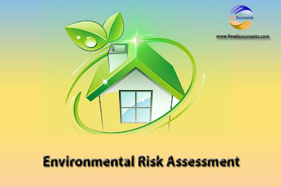 Environmental Risk Assessment 