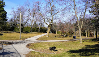 Green space between houses that makes up Brookbanks Park.