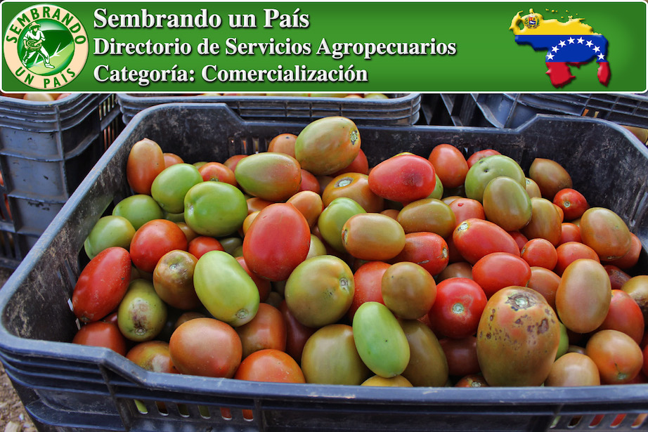 productos agrícolas frescos en venezuela
