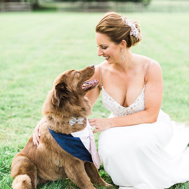 Ashley Dougherty Photos Ashley Dougherty Photos