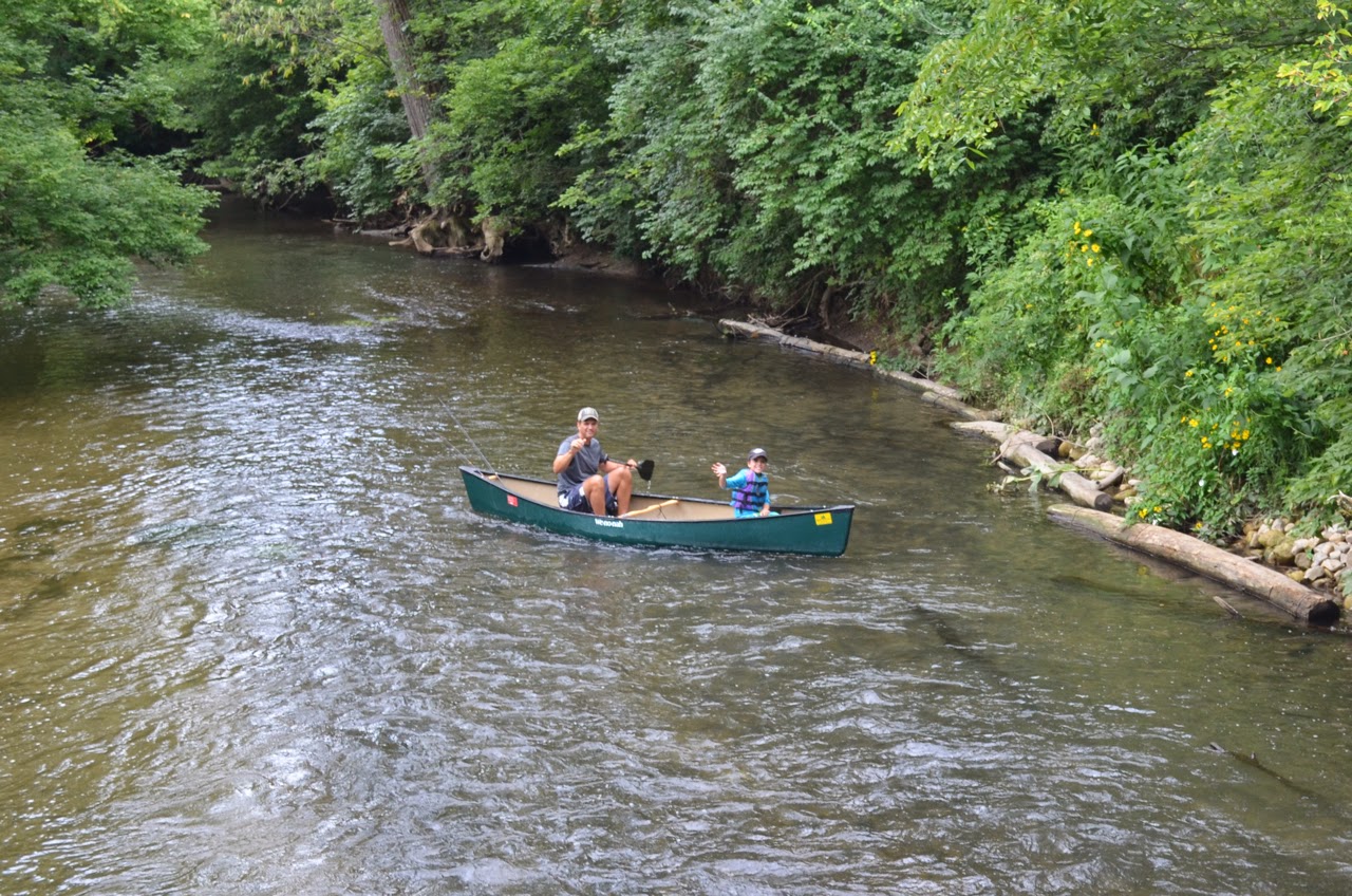 Canoeing In Ohio Mad River Brown Trout