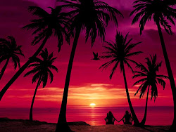 animated windows cool desktop wallpapers theme background anime sunset beach tropical summer tree island ocean palm