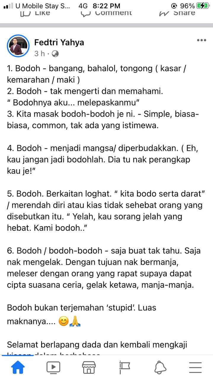 Bodoh bodoh sikit