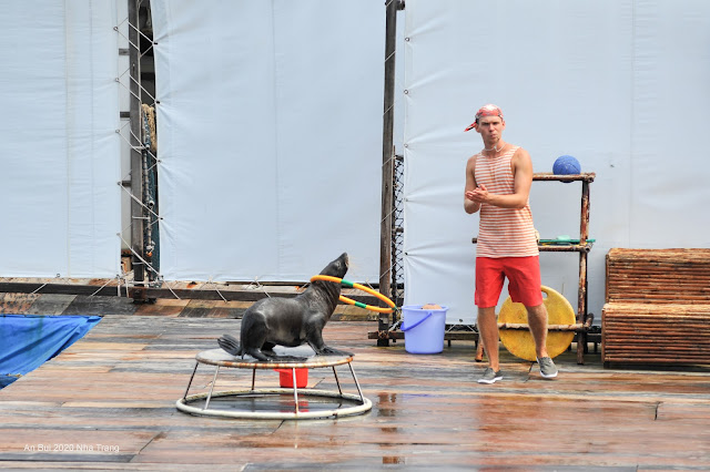 Thưởng thức show Hải Cẩu tại Sỏi Island (Hồ Cá Trí Nguyên)