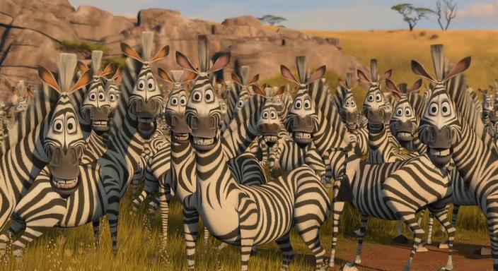 Come Si Chiama La Zebra Di Madagascar