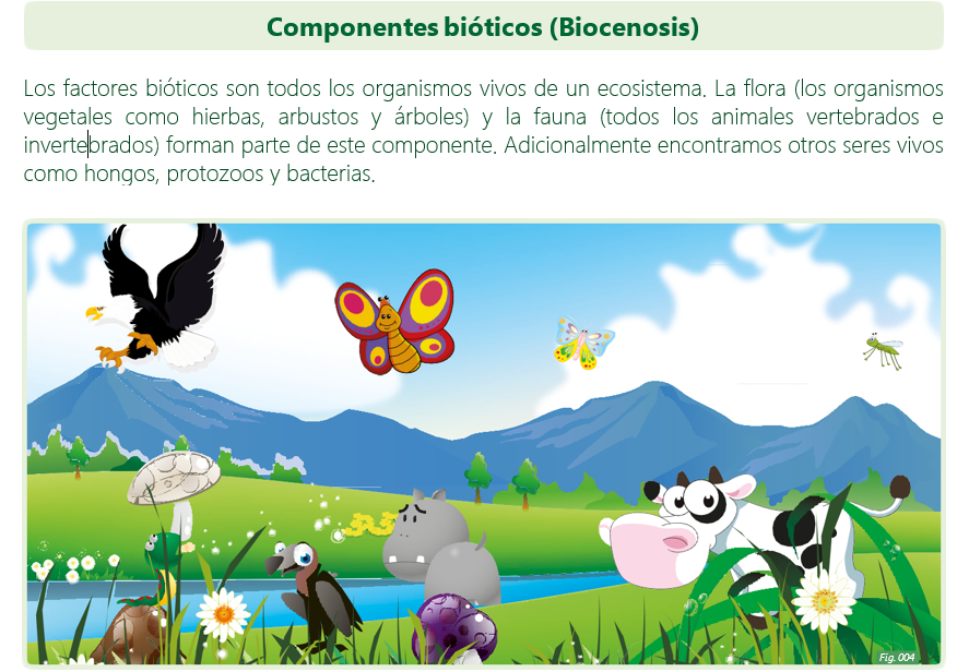 5 Ejemplos De Factores Bioticos Y Abioticos Coleccion De Ejemplo Images
